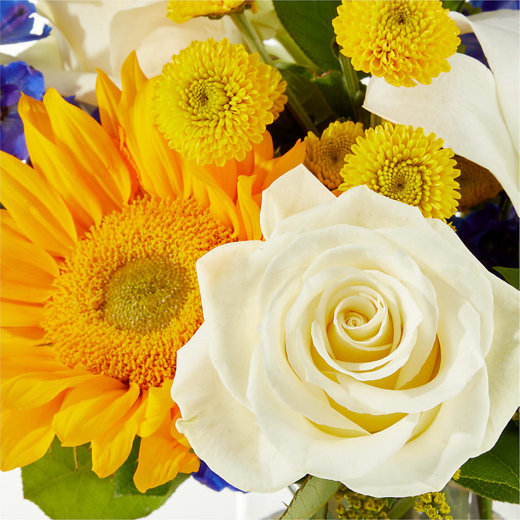 Stargazing Bouquet –  Floral Boutique, Lynnfield MA