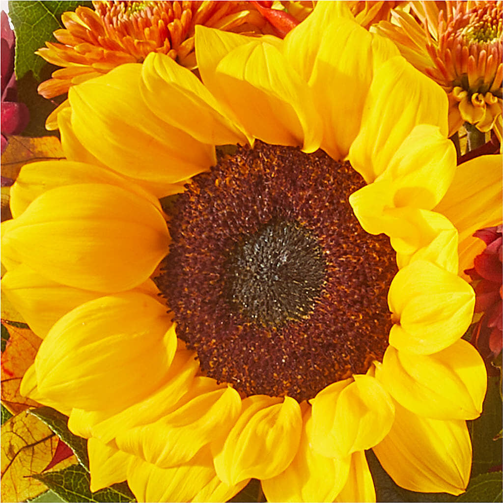 Sunny Side Bouquet –  Floral Boutique, Lynnfield MA