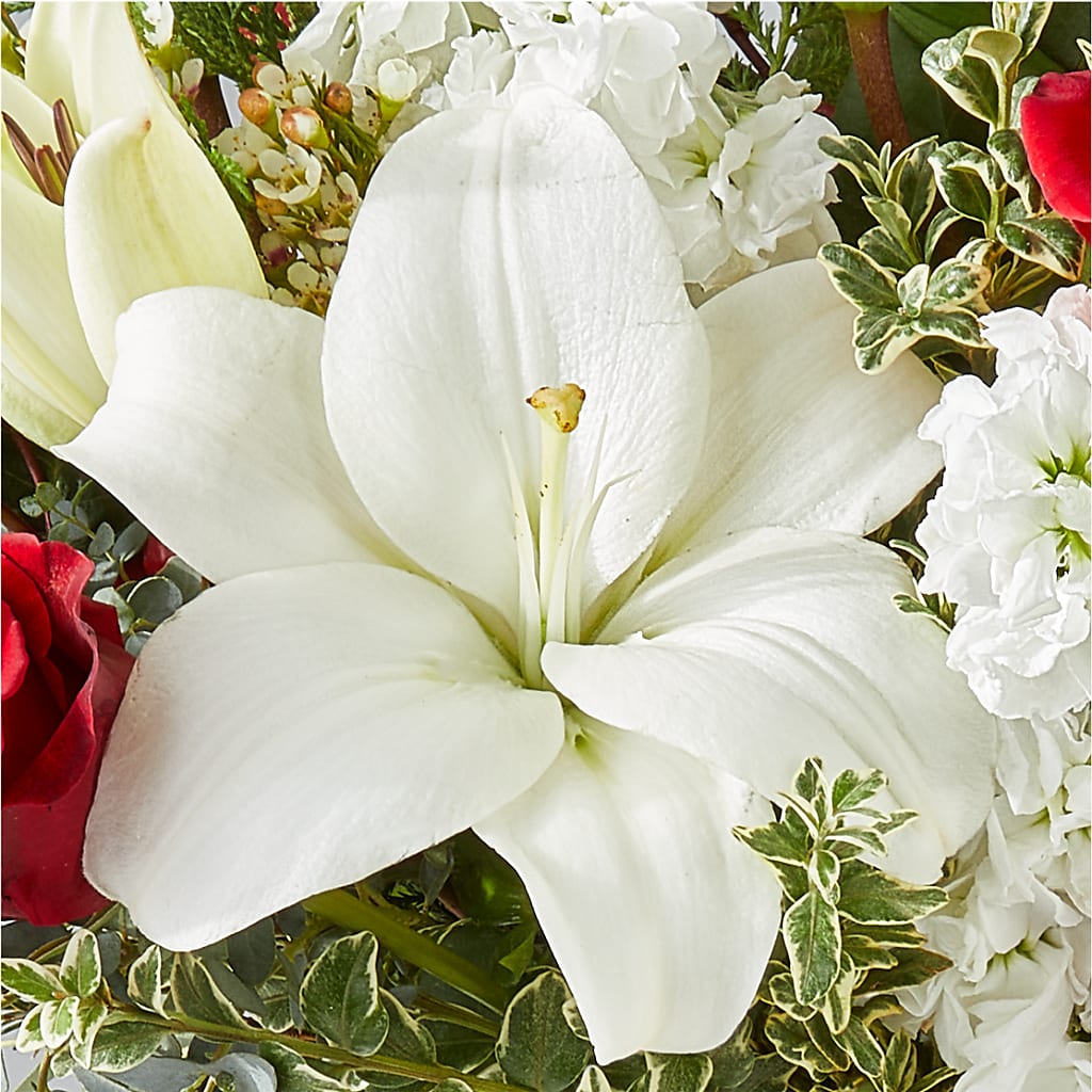 Twinkle Lights Bouquet –  Floral Boutique, Lynnfield MA