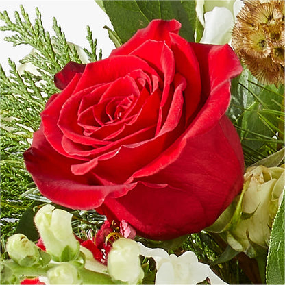 Deck the Halls Bouquet –  Floral Boutique, Lynnfield MA