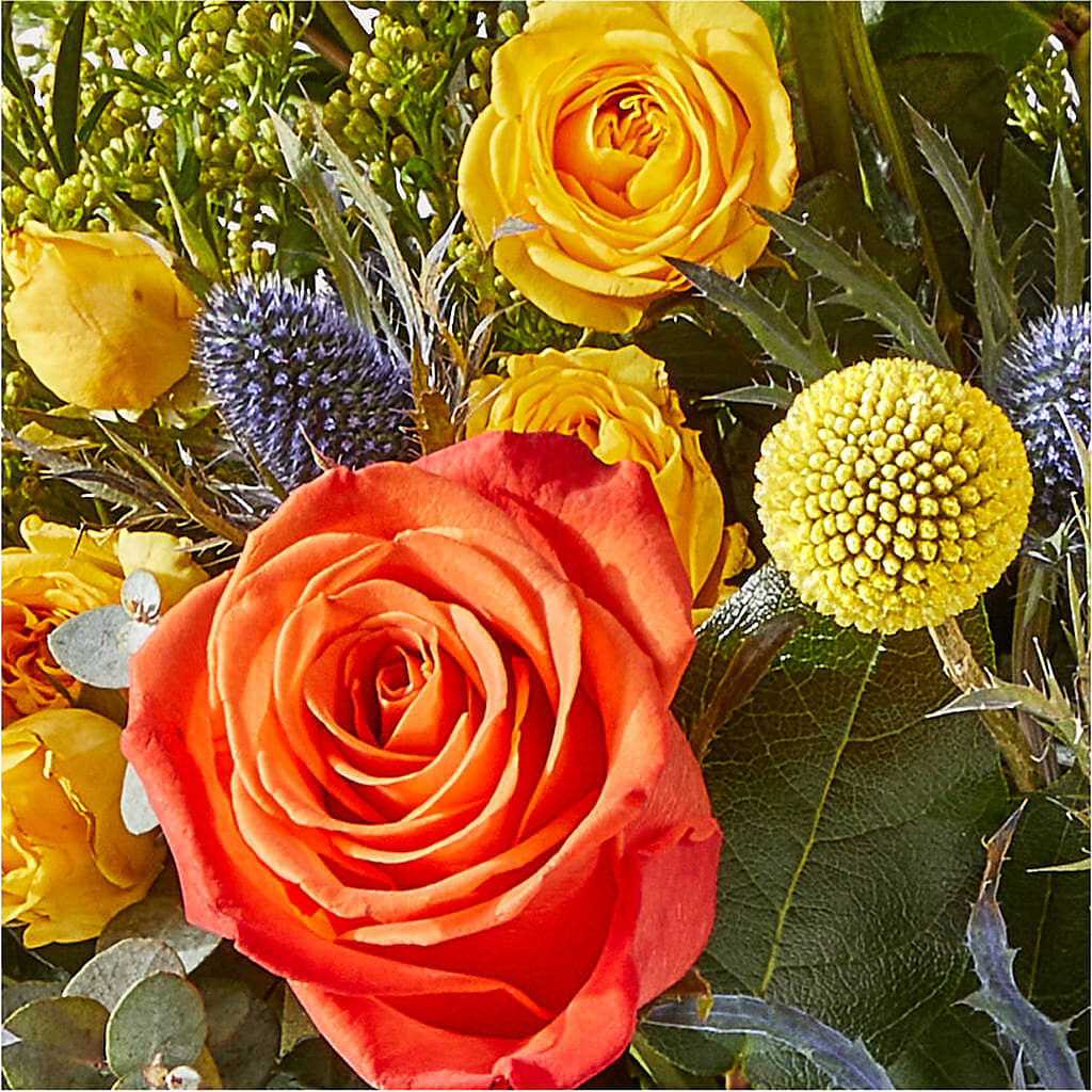 Disco Bouquet –  Floral Boutique, Lynnfield MA