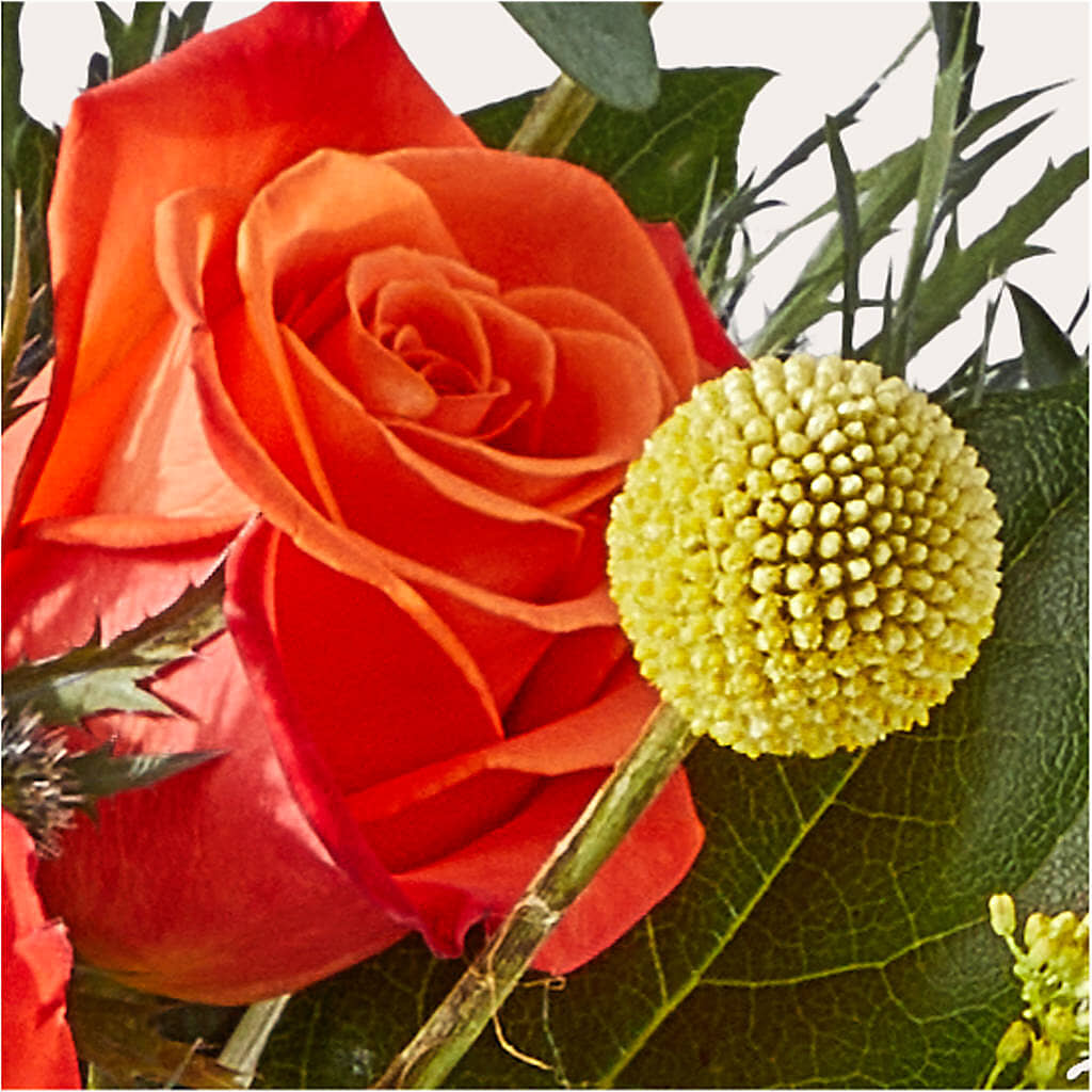 Disco Bouquet –  Floral Boutique, Lynnfield MA