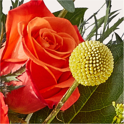 Disco Bouquet –  Floral Boutique, Lynnfield MA
