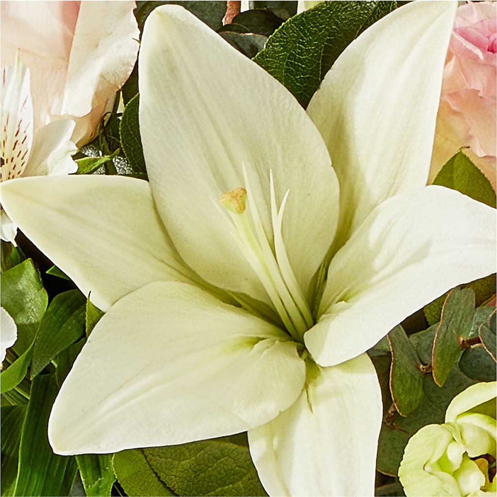 Ballet Slippers Bouquet –  Floral Boutique, Lynnfield MA