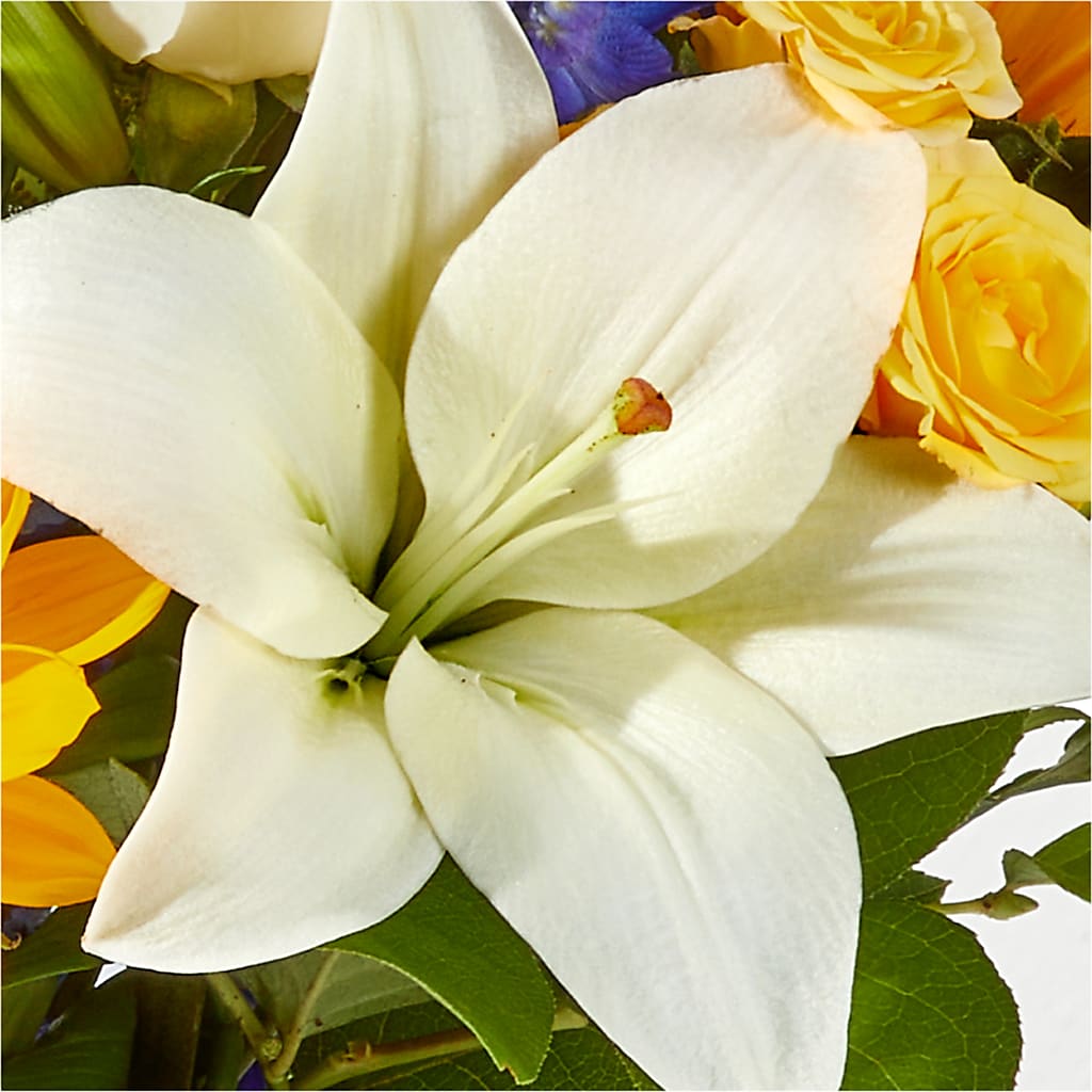 Wonderfully Sunny Bouquet –  Floral Boutique, Lynnfield MA