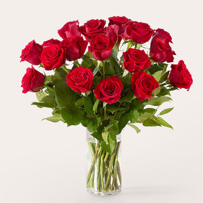 The One Red Rose Bouquet –  Floral Boutique, Lynnfield MA