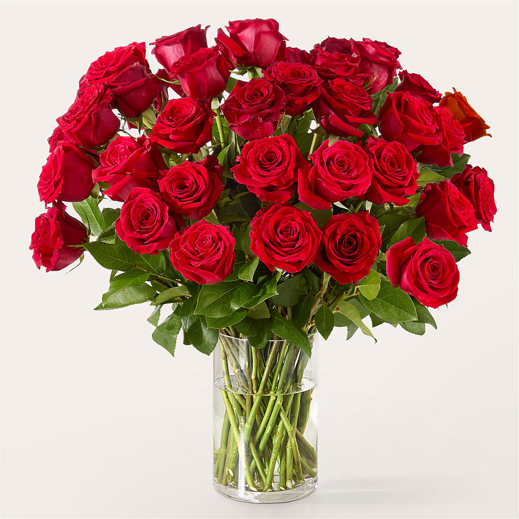 The One Red Rose Bouquet –  Floral Boutique, Lynnfield MA