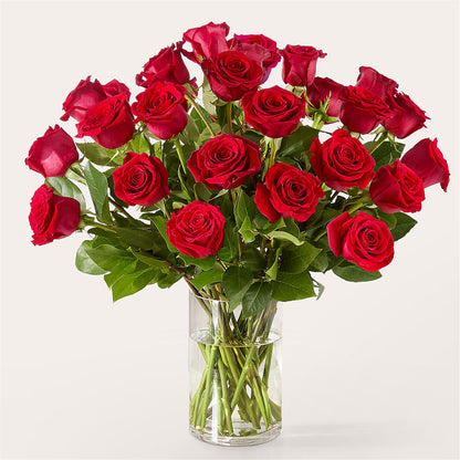 The One Red Rose Bouquet –  Floral Boutique, Lynnfield MA