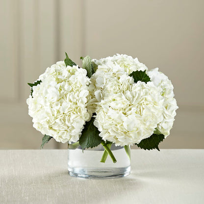 White Hydrangea Bouquet –  Floral Boutique, Lynnfield MA