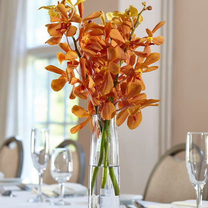 Orange Mokara Bud Vase –  Floral Boutique, Lynnfield MA