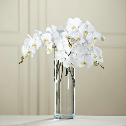 White Phalaenopsis Bouquet –  Floral Boutique, Lynnfield MA